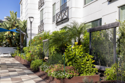 Reserve and tend to your very own garden plot at Camden North Quarter.