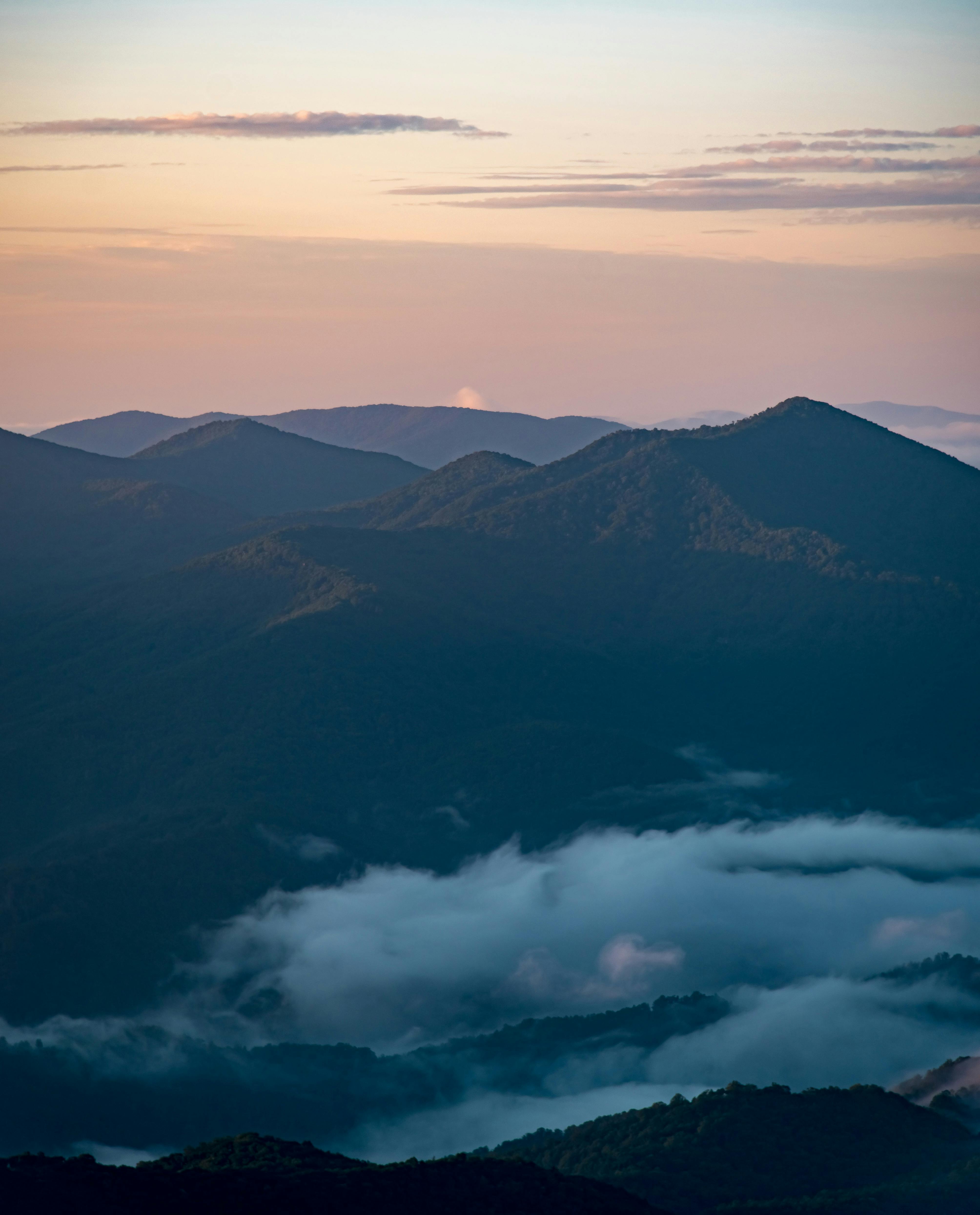 Photo Courtesy of Pexels.com, Connor McManus