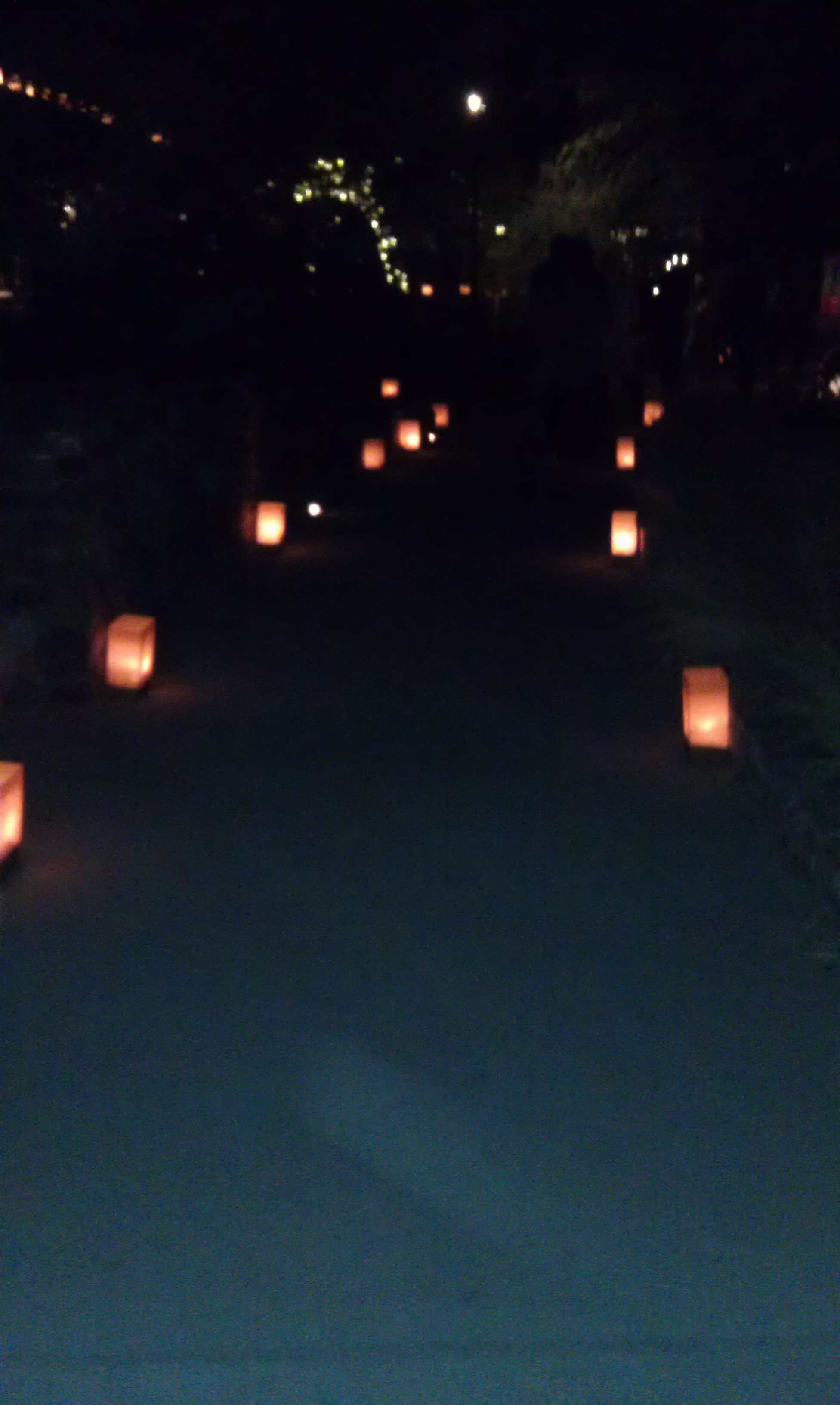 Luminarias light the path at Desert Botanical Garden