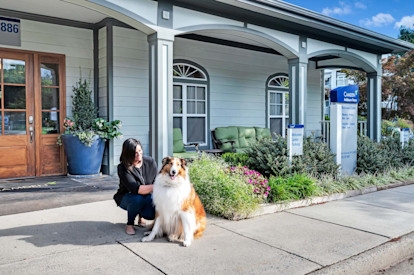 Person with dog at Camden Ashburn Farm in Ashburn, Virginia.  Pet-friendly community.