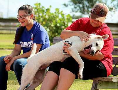 Volunteers at Gulf Coast Humane Society