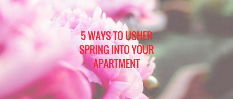 Photo courtesy of canva.com