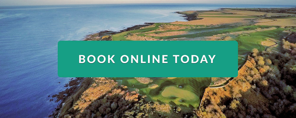 Book Online Instantly Today