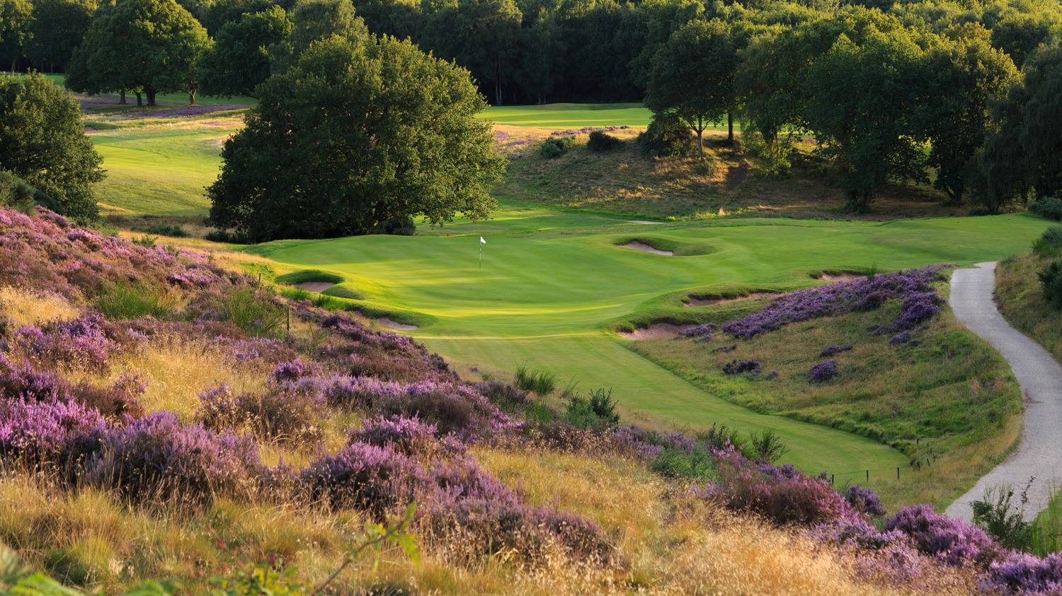Nottingham Golf Courses, Golf in Nottinghamshire | Golf Breaks from £99