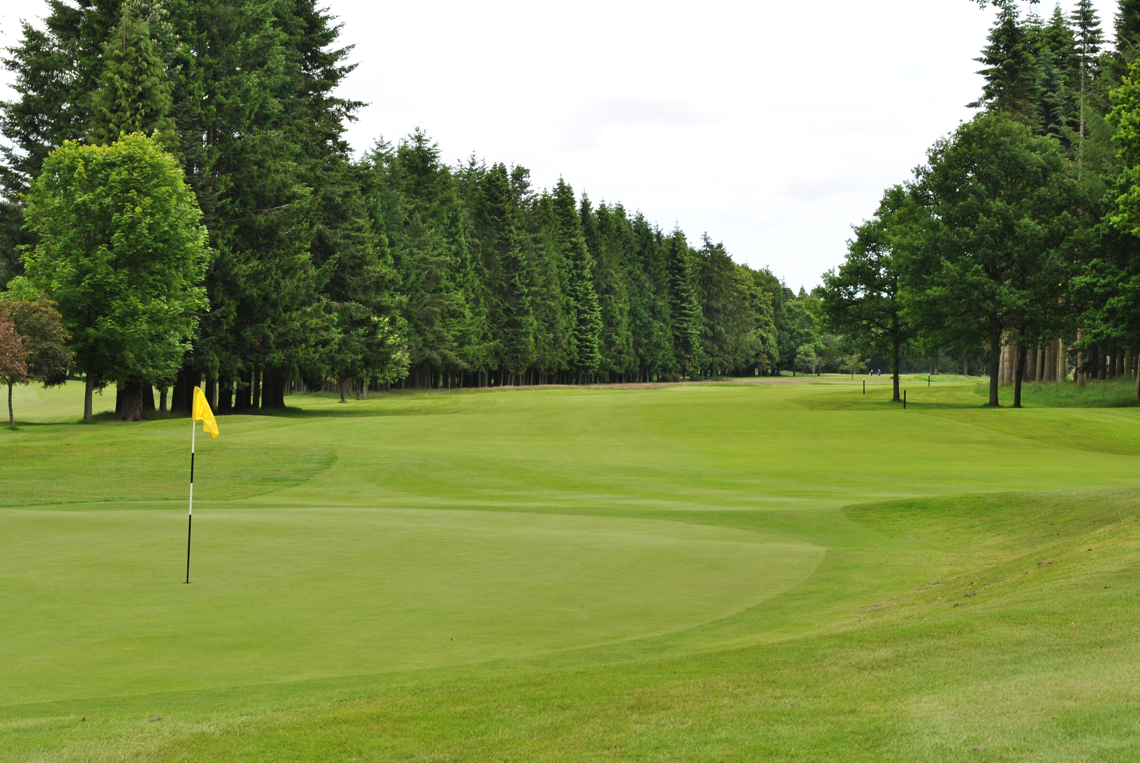 Golf in Dundee, Carnoustie & Dundee Golf Courses Golf Breaks from £125