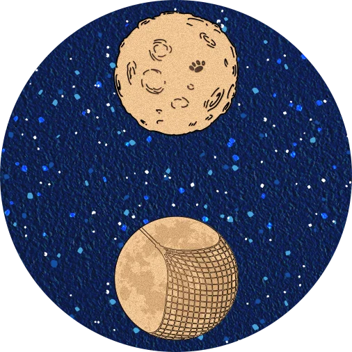 MTEMG - Moon Disc - Day