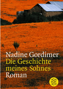 Nadine Gordimer: Die Geschichte meines Sohnes