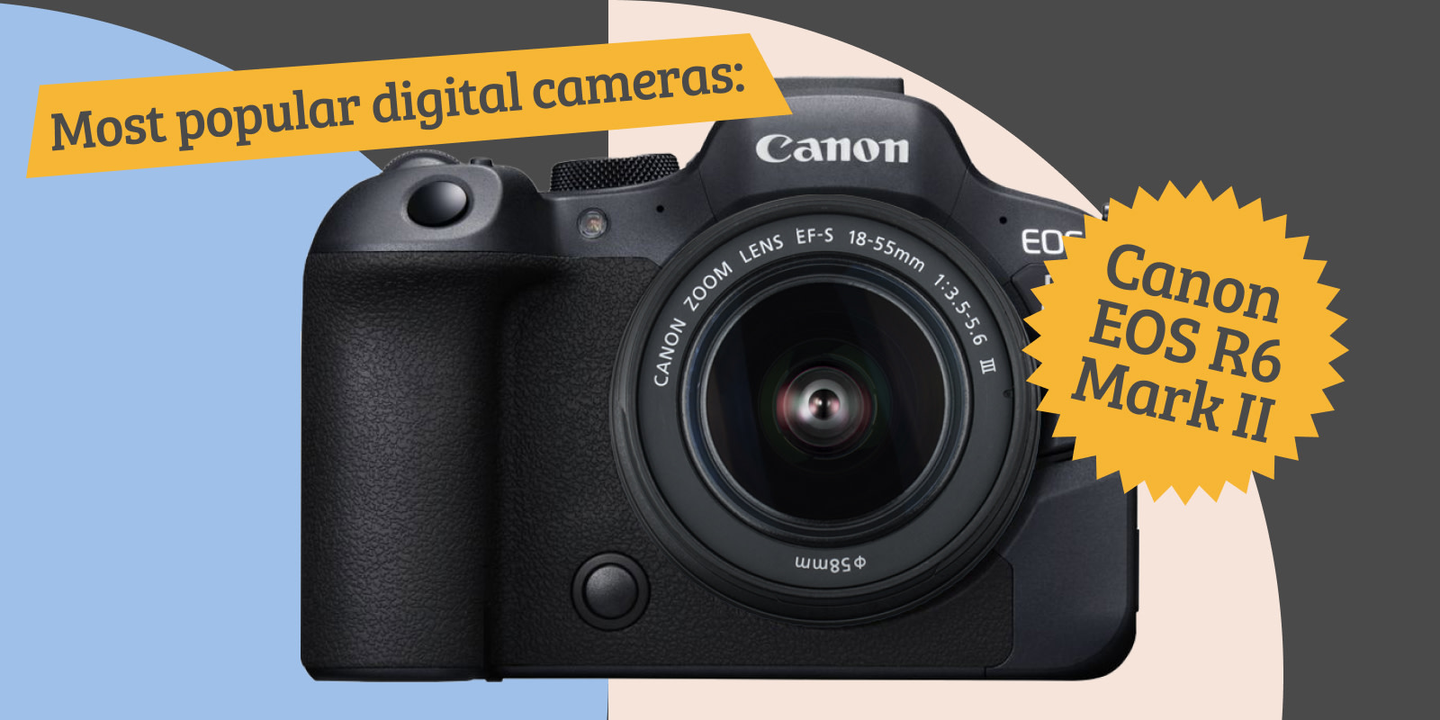 Most popular cameras 