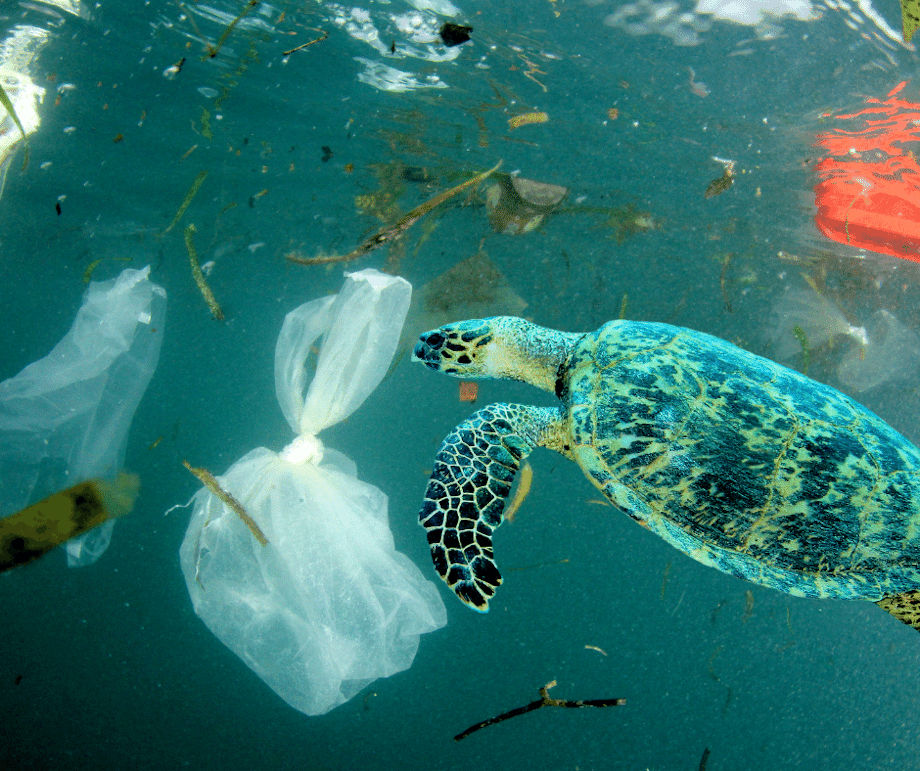 150 Millionen Tonnen Plastik in den Meeren