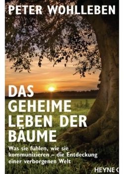 Das geheime Leben der Bäume (Peter Wohlleben)
