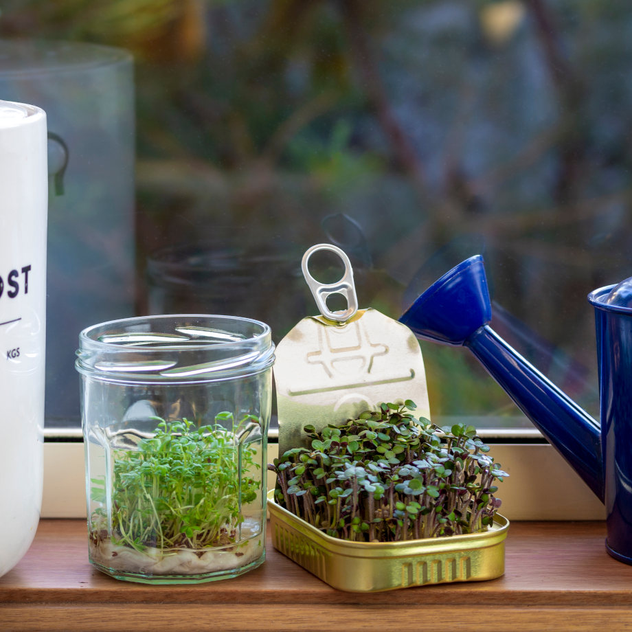 Nachhaltigkeit rund um Küche & Essen