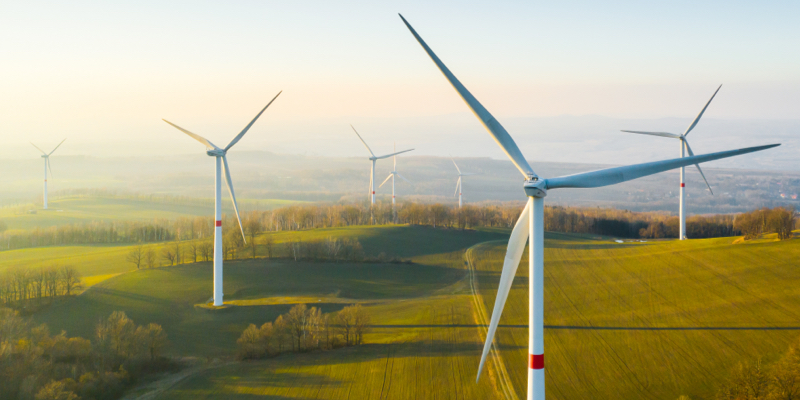 El Green Deal: conseguir cero emisiones netas para 2050