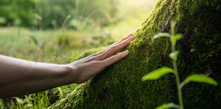 right_to_repair_human_wood_photo_800x400_ID_1330734910