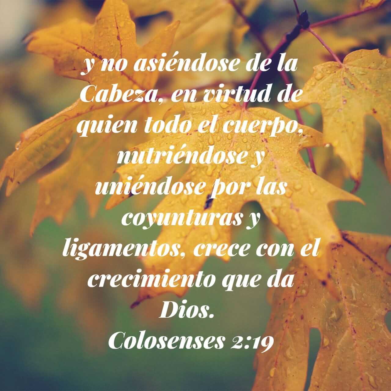Colesenses 2:19