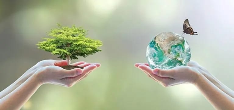 Arbol Agua y Planeta