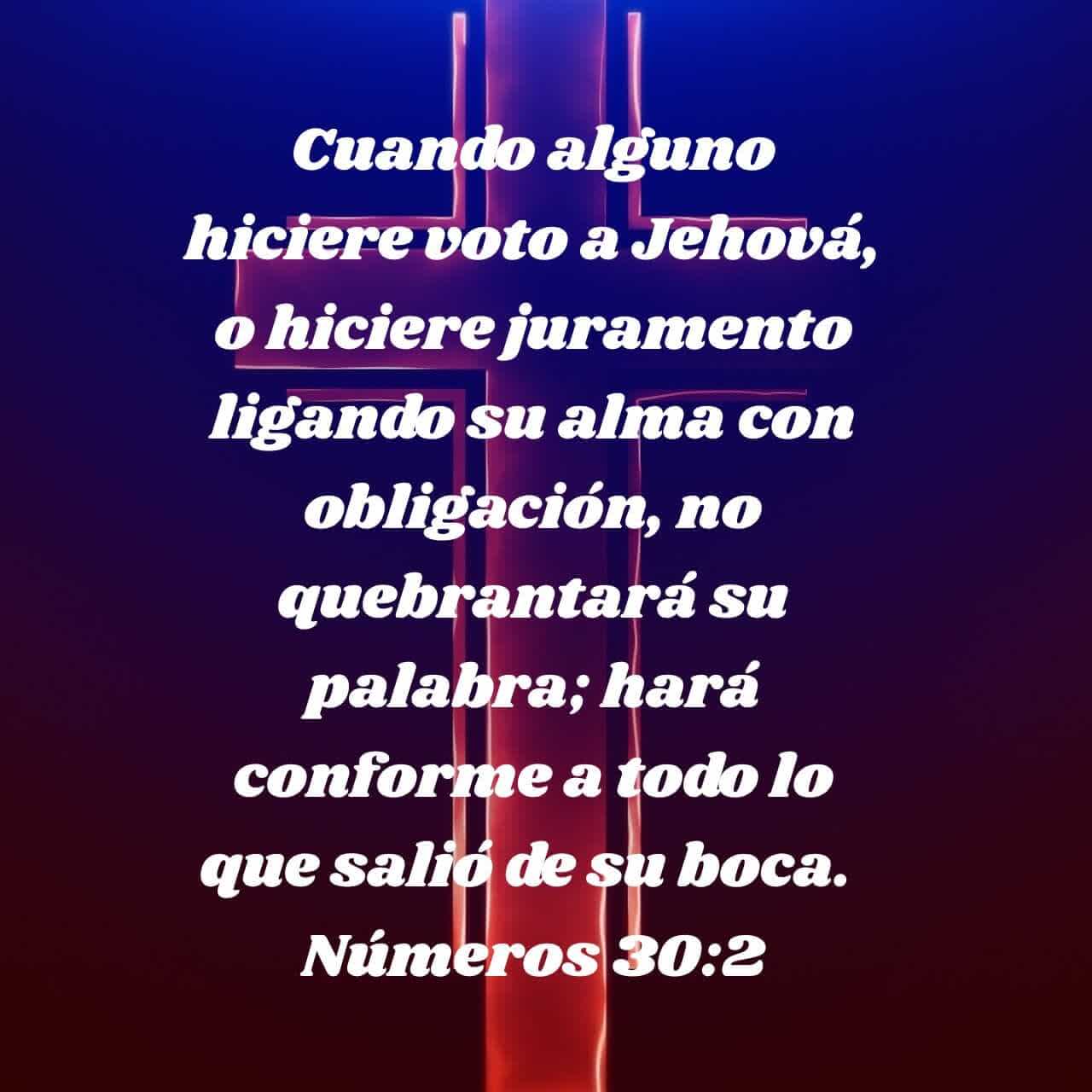 Numeros 30:2