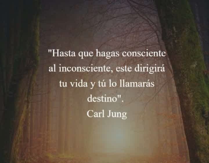 Hasta que hagas Carl Jung