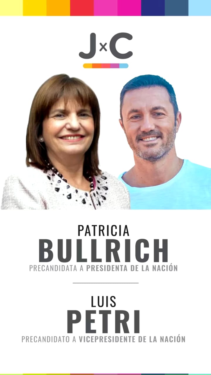 Patricia Bullrich Luis Petri