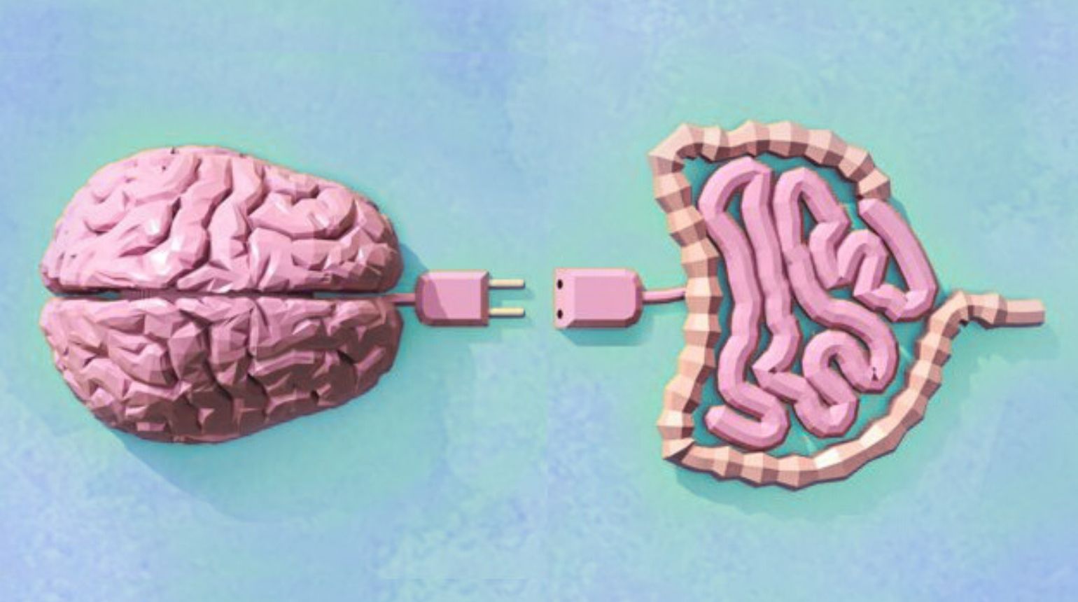 El cerebro y su relación con el intestino.