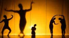 corporeidad es libertad.