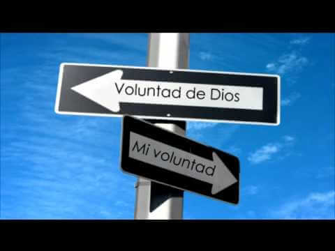 Voluntad De Dios Mi Voluntad