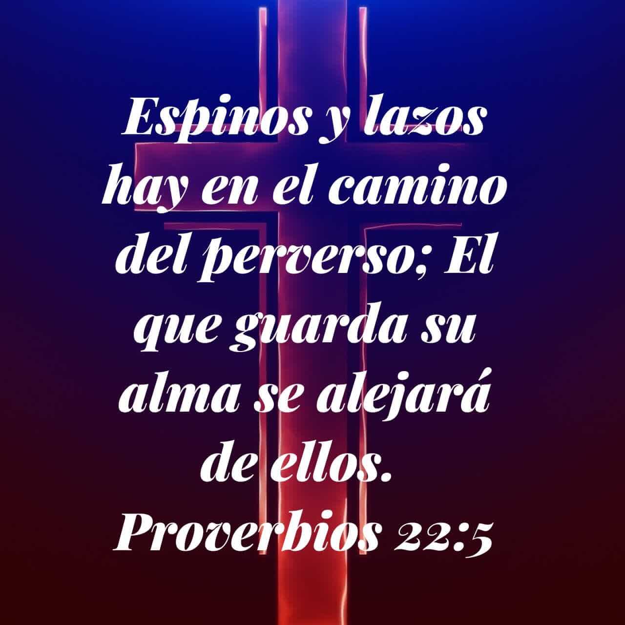 Proverbios 22:5