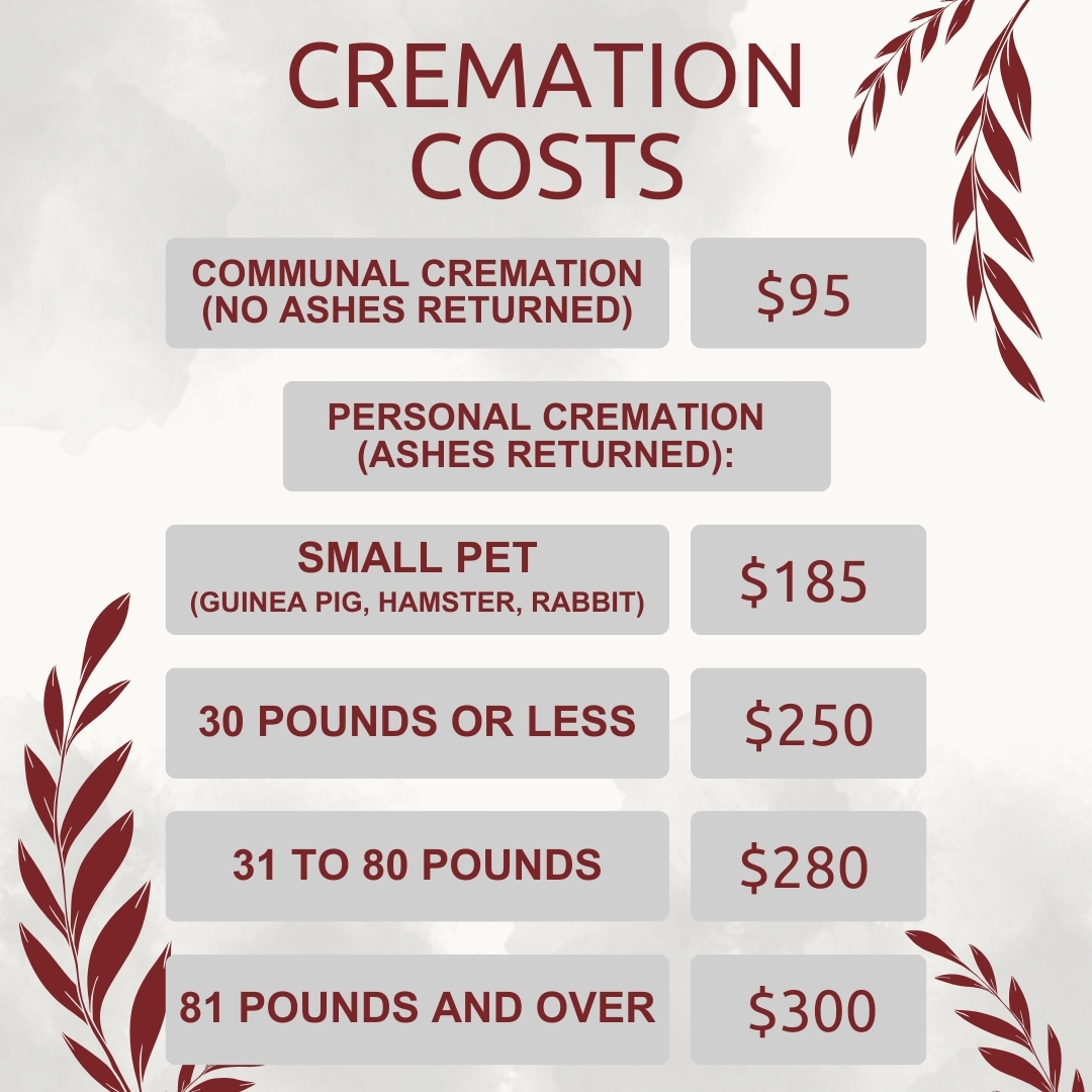 Spca fashion cremation cost