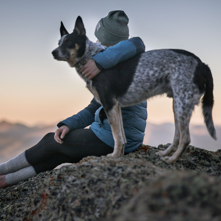cattle dog standing next to his owner with their arm around him, sitting at the top of a mountain.