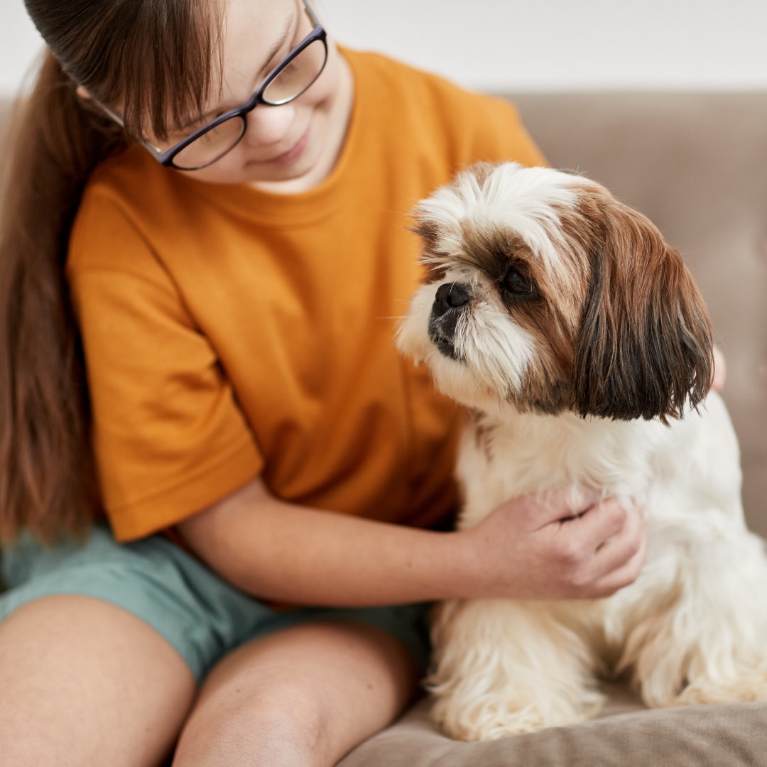 Humane Society Programs Humane Society of Kitchener Waterloo