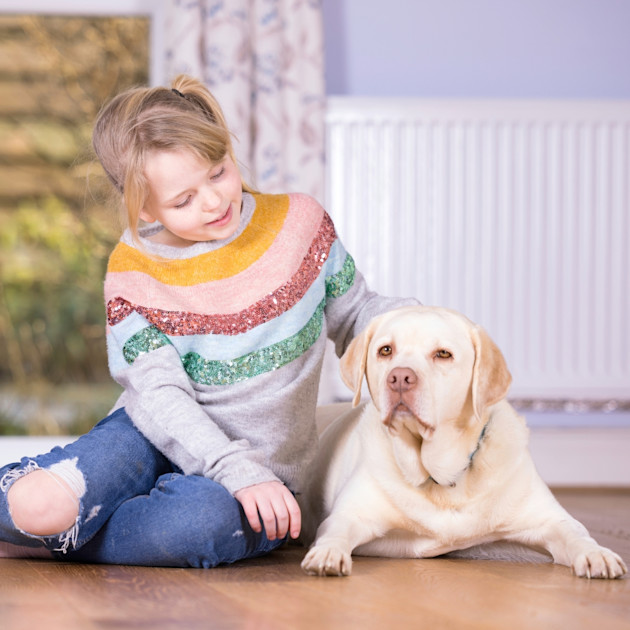 Pet Sitting Course The Humane Society of Kitchener Waterloo