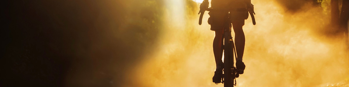 E-Gravel Bikes von Scott