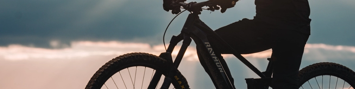 E-MTBs von RAYMON