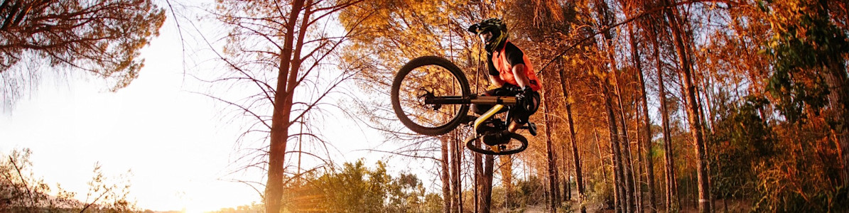 Mountainbikes von MORRISON