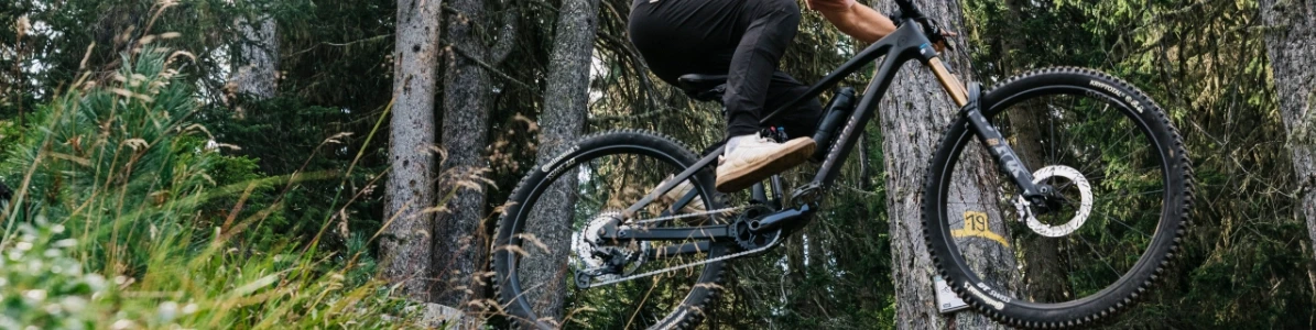 Mountainbikes von Raymon