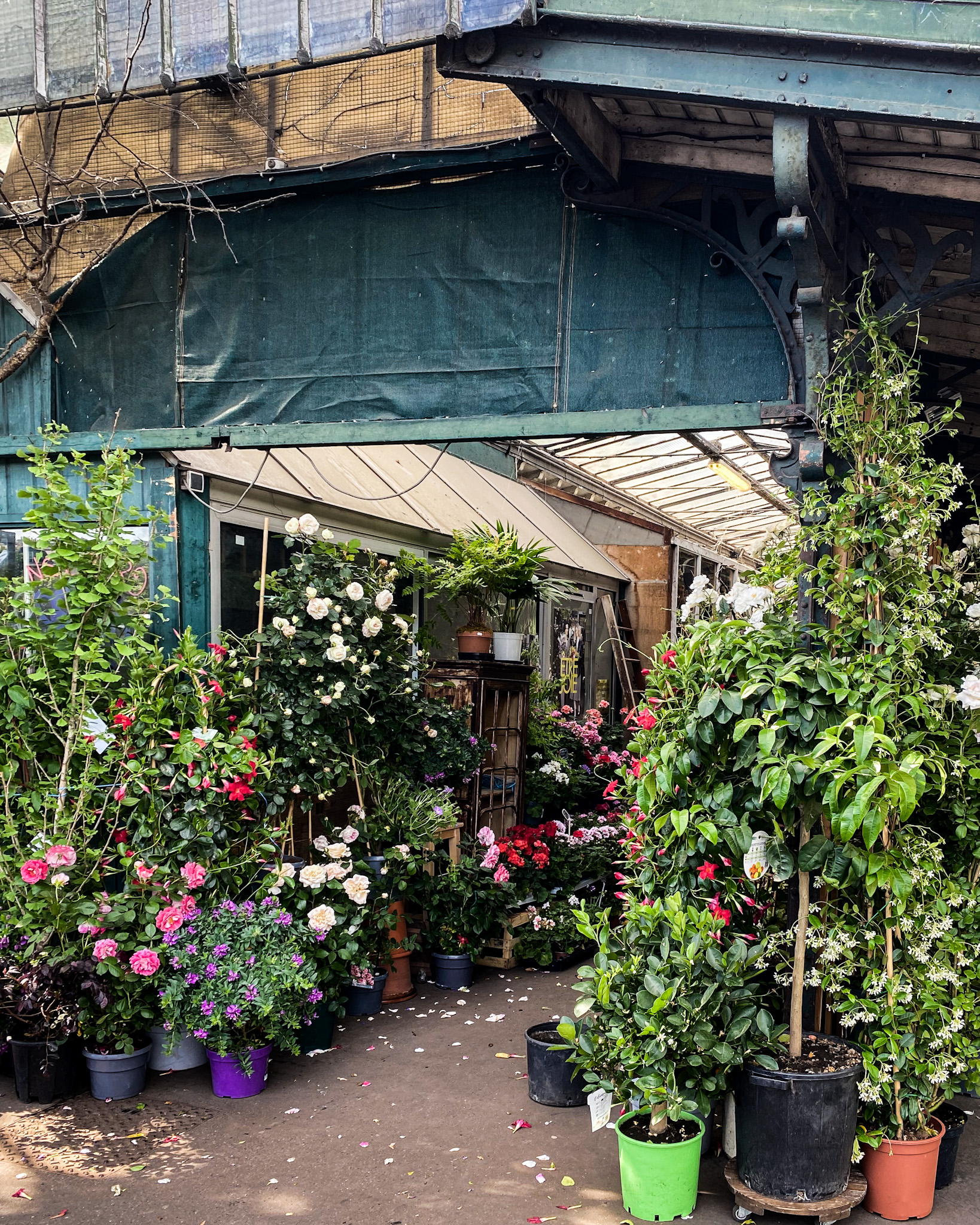 Marché aux Fleurs Reine-Elizabeth-II, Paris