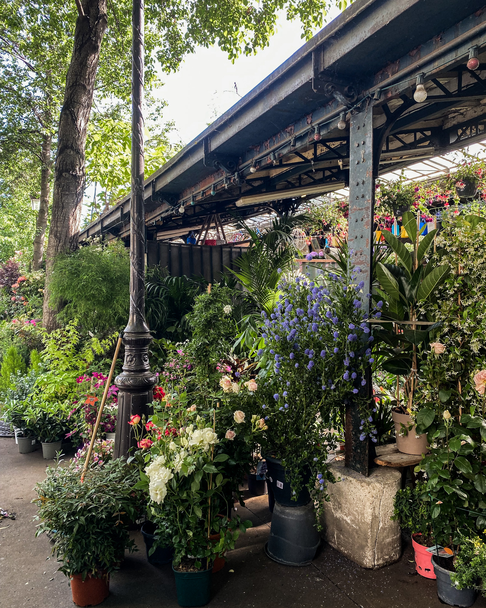 Marché aux Fleurs Reine-Elizabeth-II, Paris