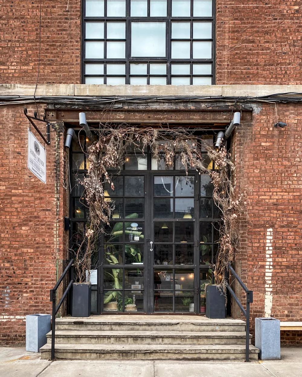 Image of Anima Mundi Apothecary, Brooklyn