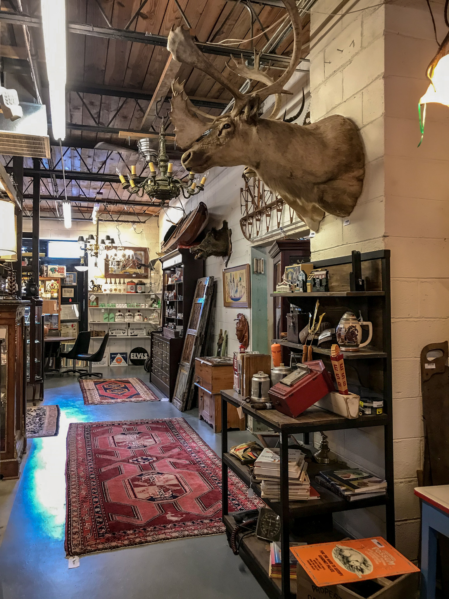Picker Joe's, Savannah