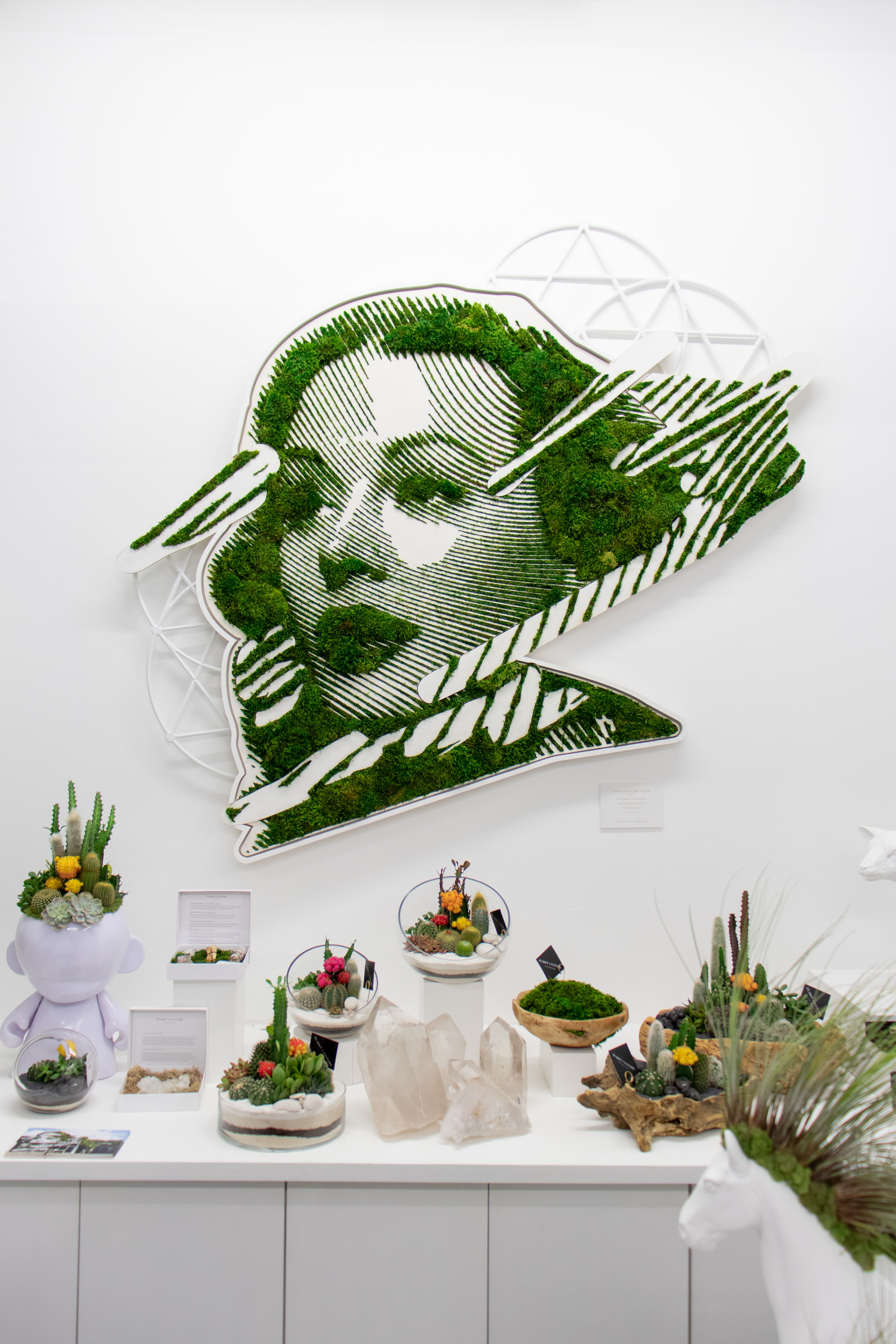 dr mercha plantさんのアート Shop – Plant The Future | The Shopkeepers
