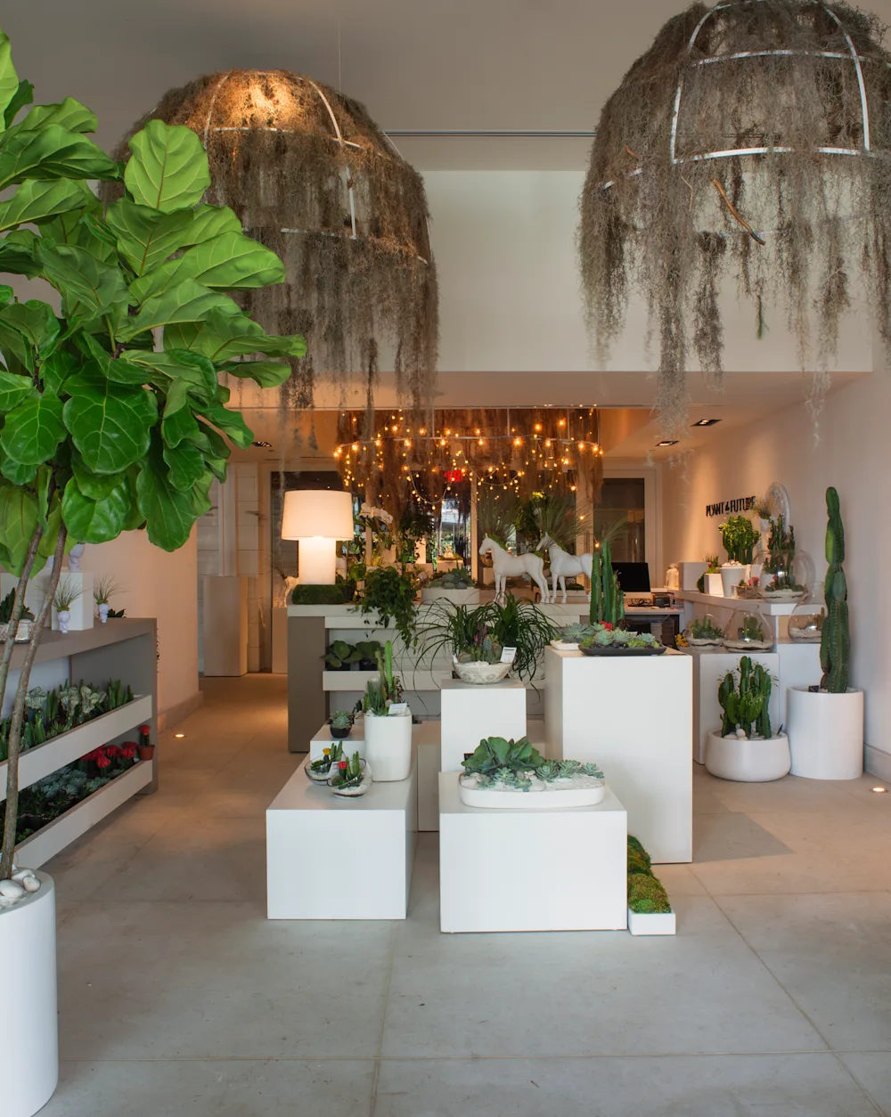 Shop  Plant The Future | The Shopkeepers