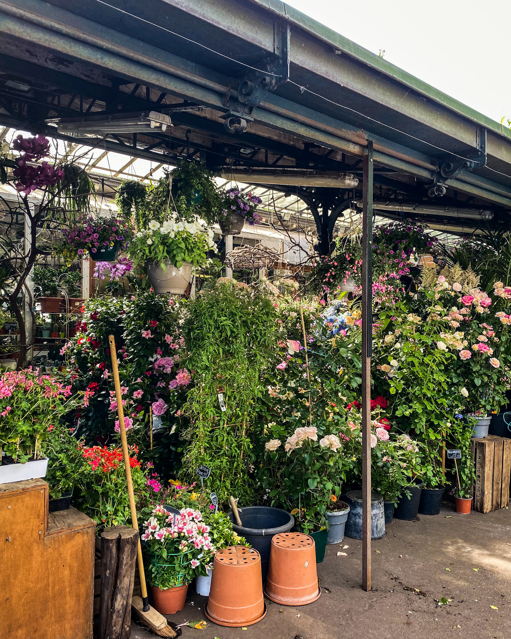 Marché aux Fleurs Reine-Elizabeth-II, Paris