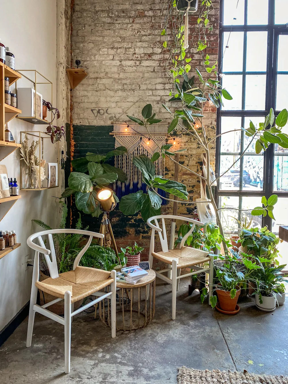 Image of Anima Mundi Apothecary, Brooklyn