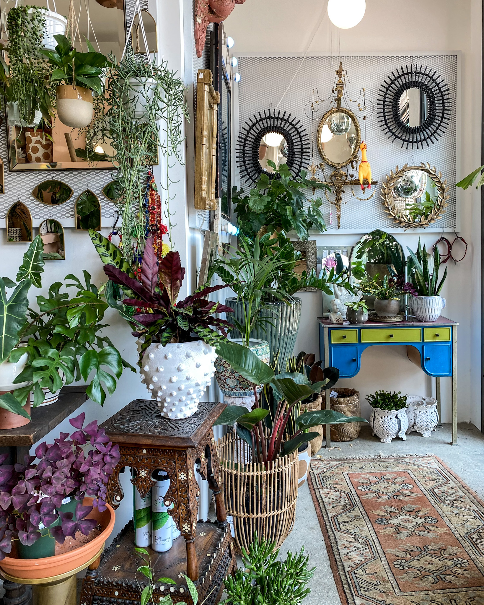 Shop – Feng Sway | The Shopkeepers