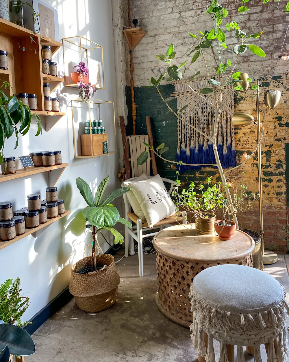Image of Anima Mundi Apothecary, Brooklyn