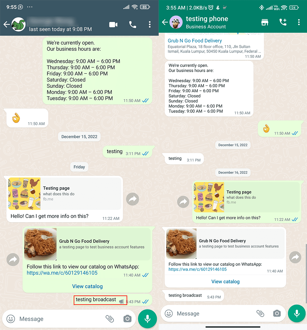 Loudspeaker icon in a WhatsApp broadcast message