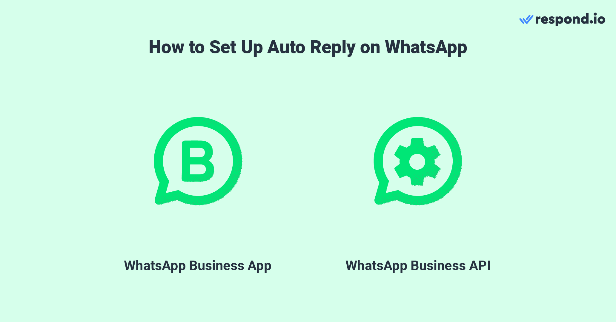 How to set up WhatsApp auto replies