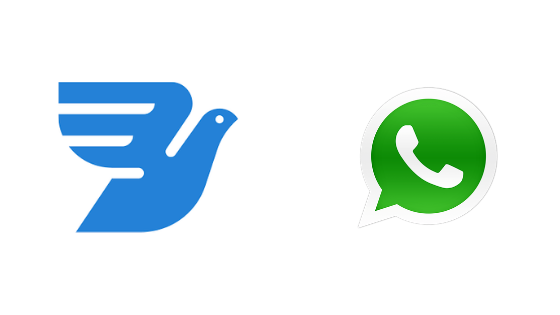 MessageBird WhatsApp Works With Rocketbots