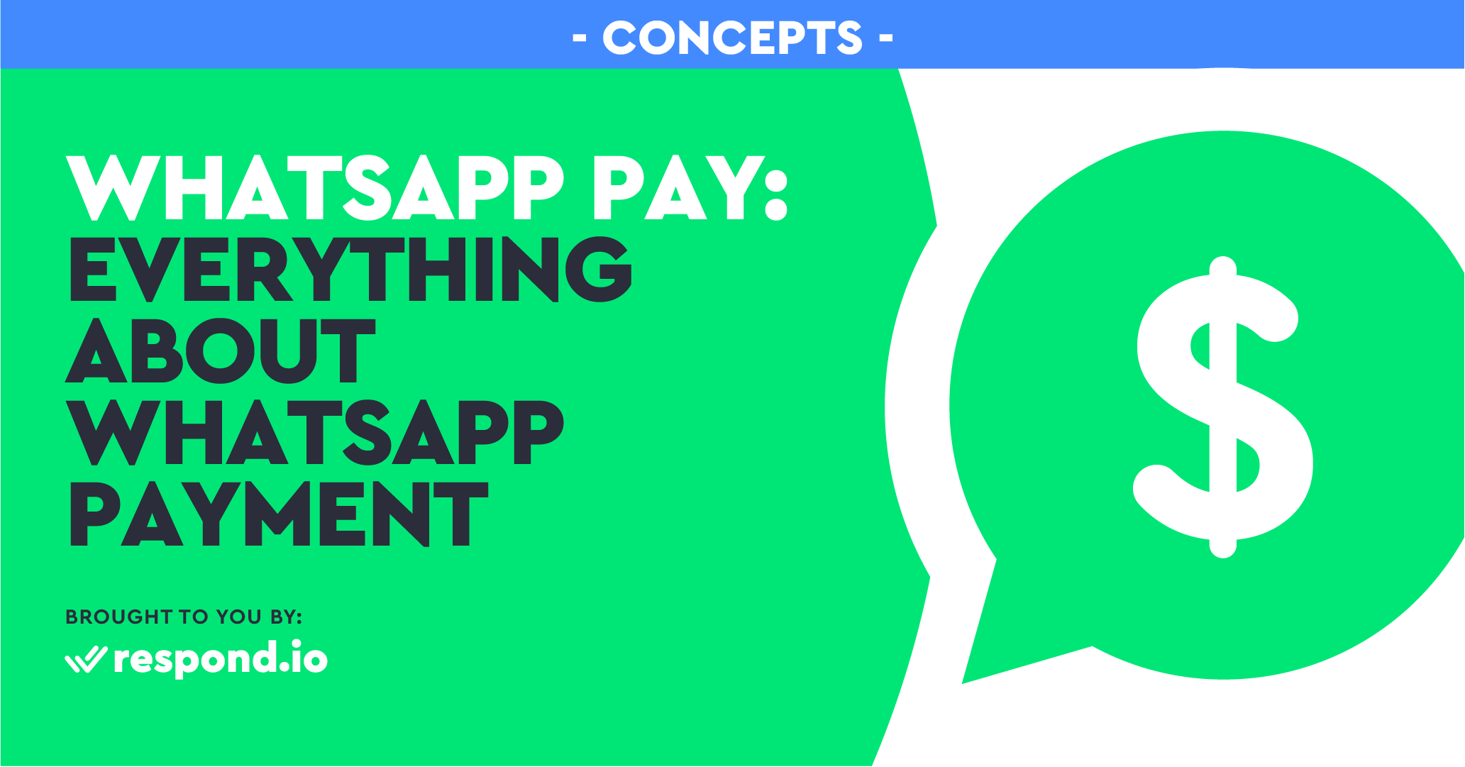 WhatsApp Pay: Everything About WhatsApp Payment [Feb 2022]