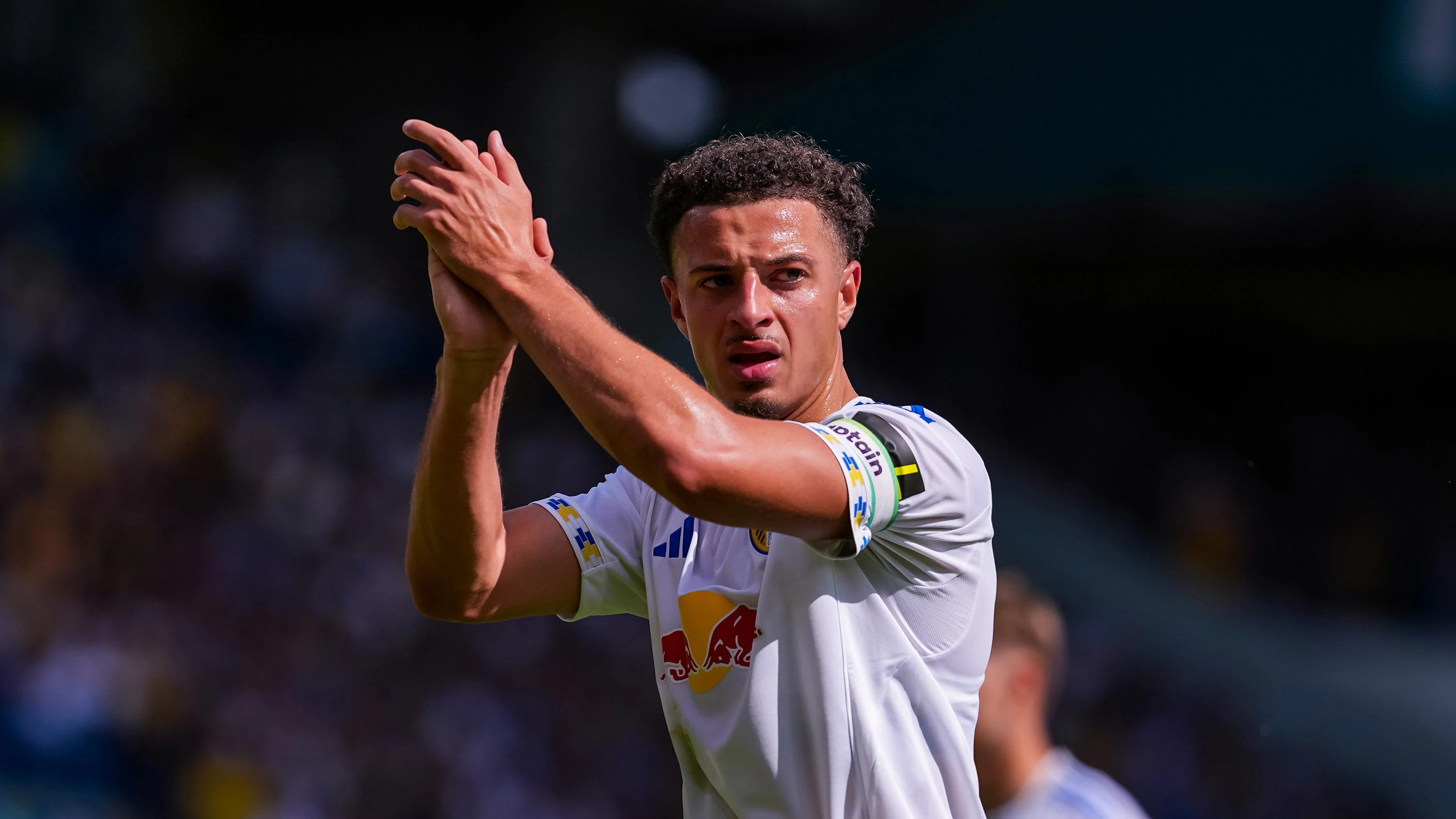 Villarreal Gallery 17