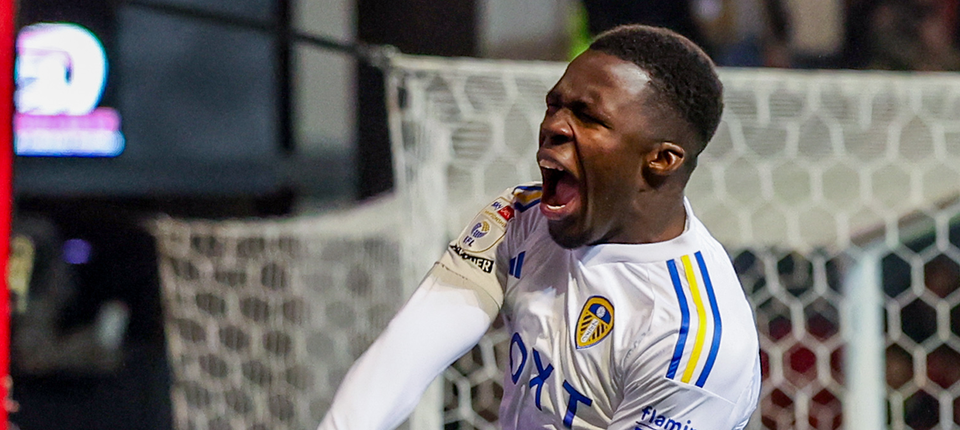 Willy Gnonto Banner.png